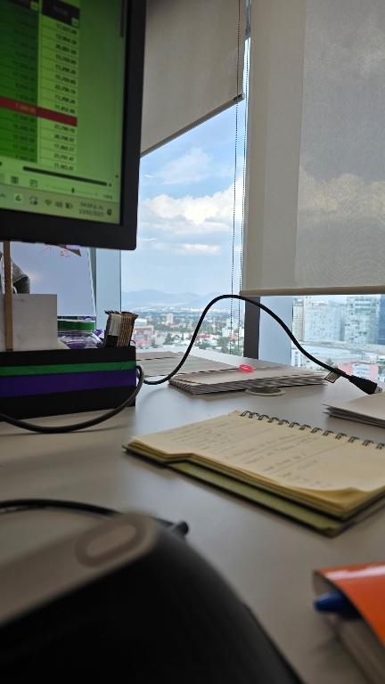 Auxiliar contable en Toluca - Imagen 1