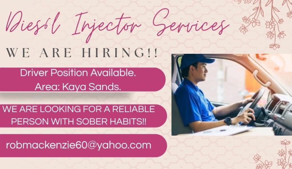 Diesel Injectors Services in Edenvale - Image 1
