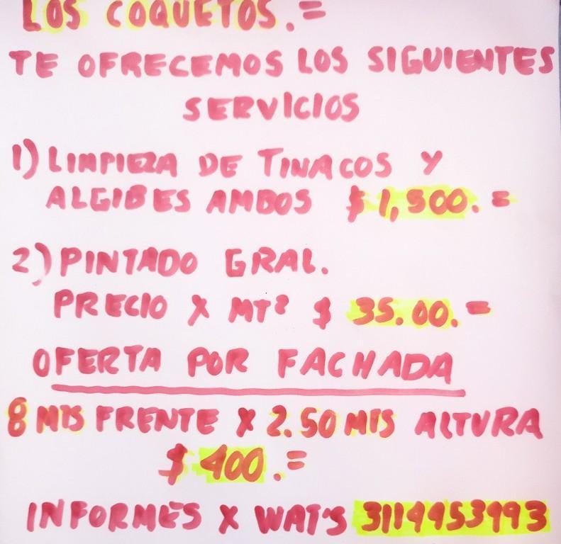 Servicios de pintura y limpieza en Tepic - Imagen 1