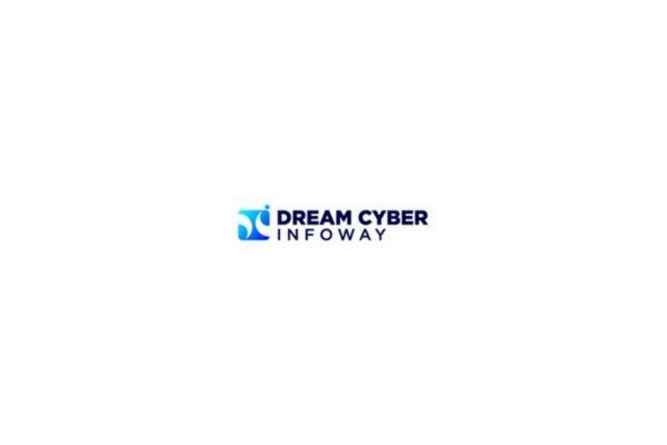 SAS Development Agency - Dream Cyber Infoway in India - Image 1