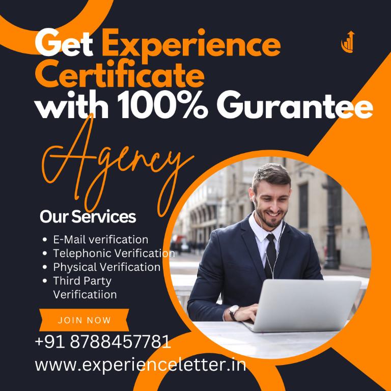 Work Experience Provider in Pimpri-Chinchwad - Image 1