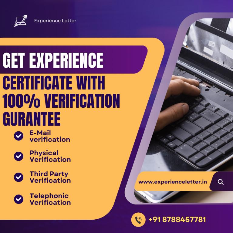 Work Experience Provider in Pimpri-Chinchwad - Image 4