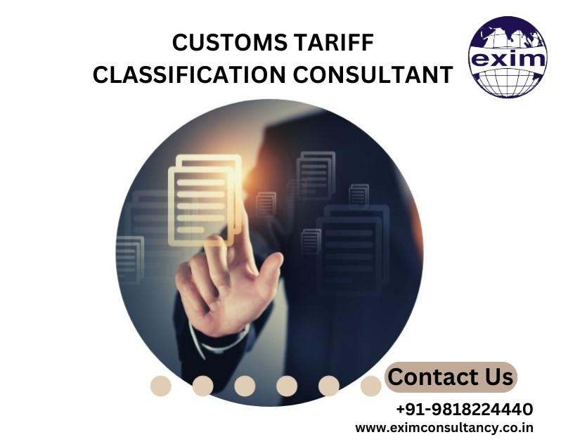 Customs Classification Expert – Exim Consultants in Loni - Image 1