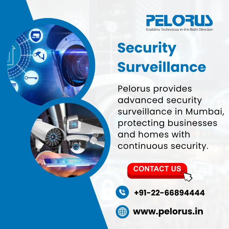 Security Surveillance in India - Image 1