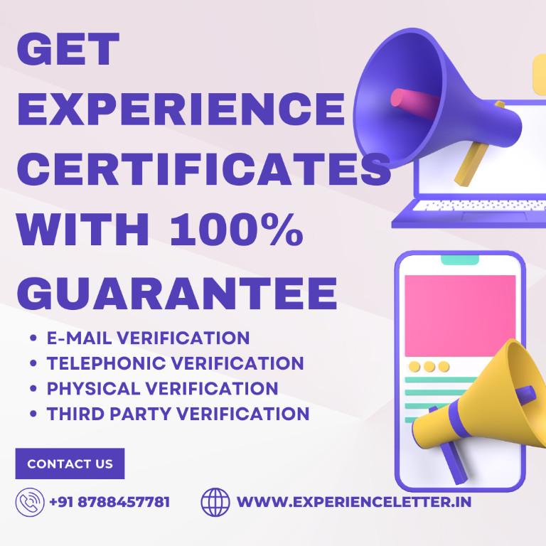 Work Experience Certificate Provider in India - Image 2