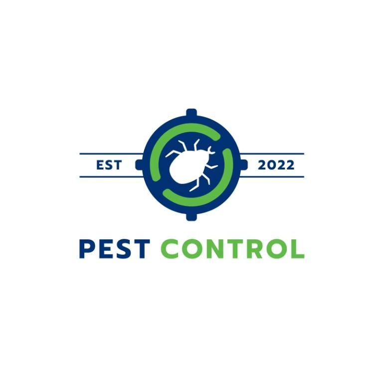 How to Get Rid of Termites Yourself | Full DIY Termite in Green Park Extension - Image 1