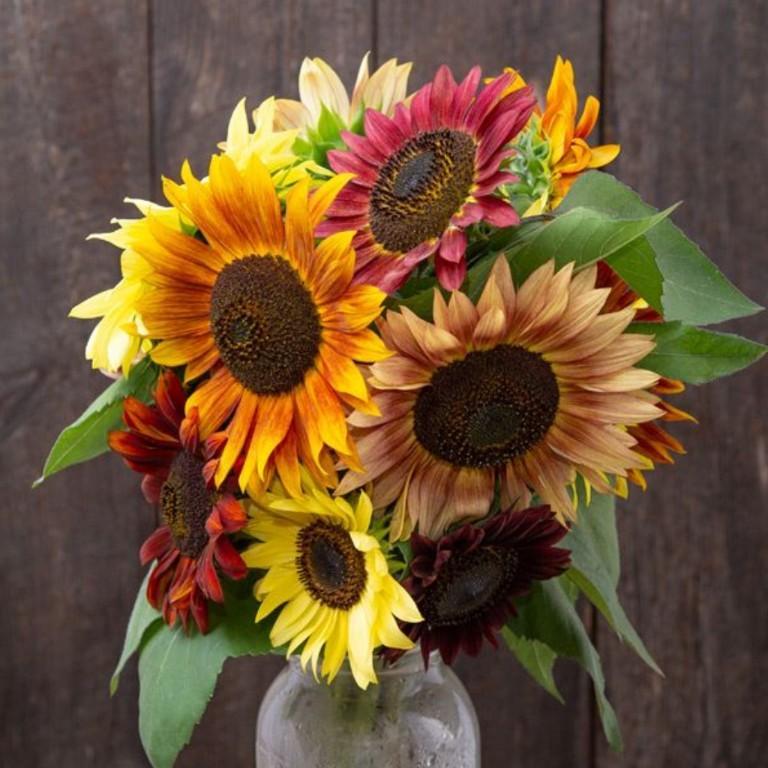 Semillas de flores en Los Minas - Imagen 4
