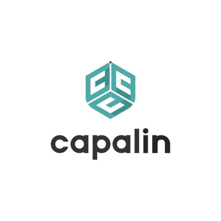 Capalin Insurance Broking Pvt ltd in Thane - Image 1