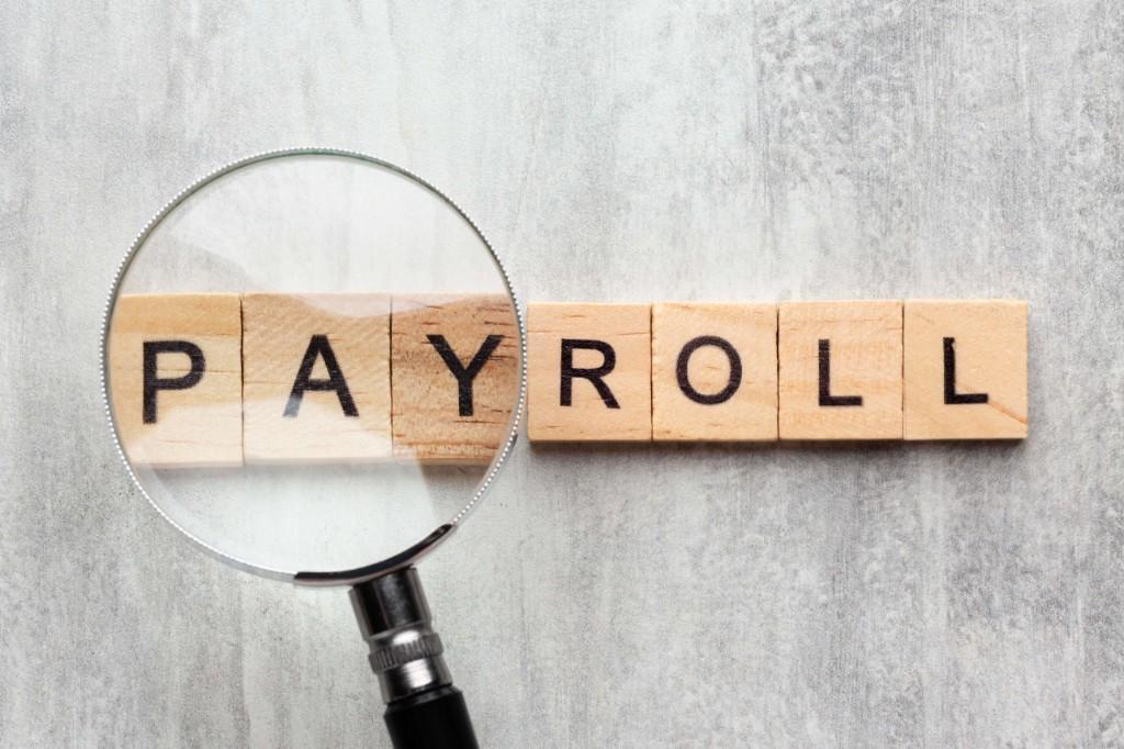 Payroll Automation Software The Secret Weapon for Fast-Growing in Mumbai - Image 1
