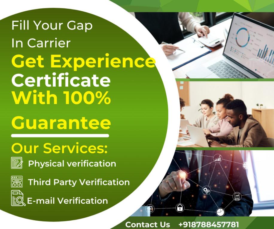 Experience Certificate Provider in India - Image 2