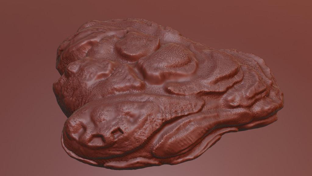 Oyster Shell Vol. 8 – High-Detail 3D Printable Model in India - Image 3