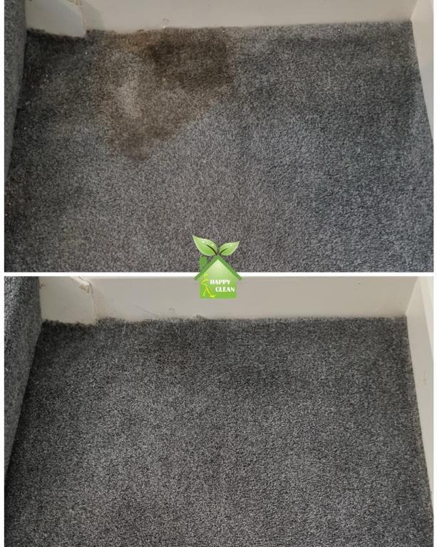 PROFESSIONAL STAIN REMOVAL in Swords - Image 3