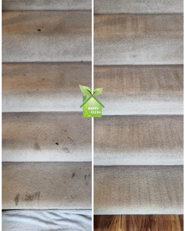 PROFESSIONAL STAIN REMOVAL in Swords - Image 1