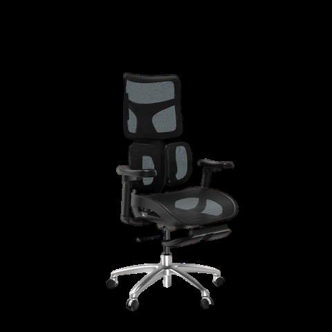 Ergonomic Revolving Chair with Ultimate Lumbar Support in Khetwādi - Image 1