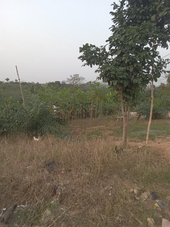 Vente maison plus espace en Côte d’Ivoire - Photo 3