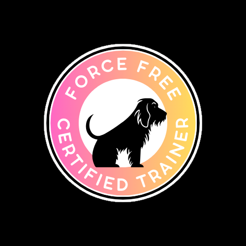 Dog Trainer & Canine Behaviourist - In Person & Virtual/Online in Westport - Image 1