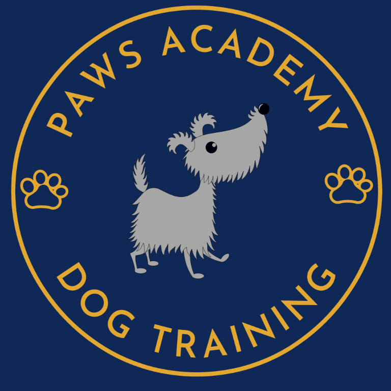 Dog Trainer & Canine Behaviourist - In Person & Virtual/Online in Westport - Image 2