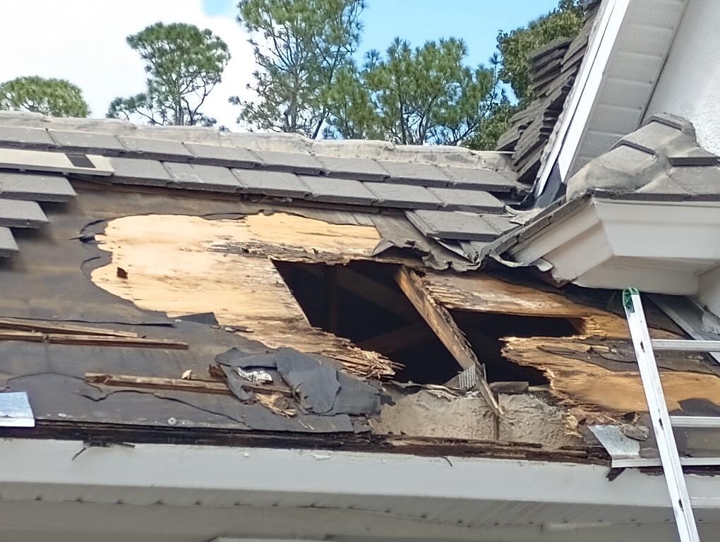 Roofing Repair Sevices in Deltona - Image 2