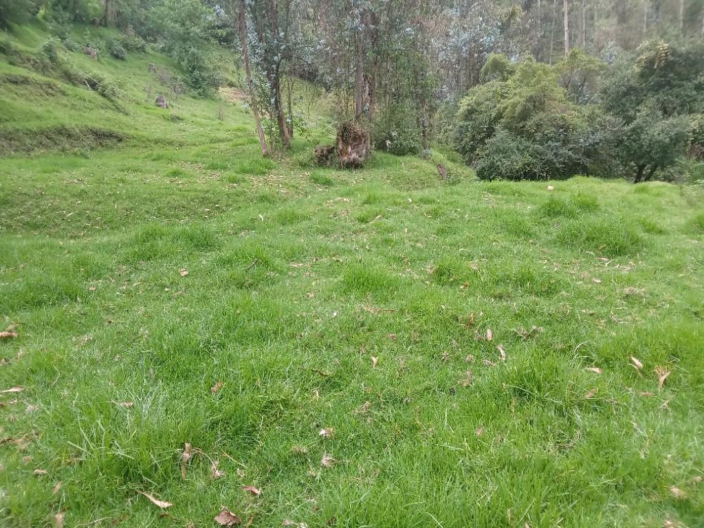 DOS HECTAREAS EN PINTAG en Sangolquí - Imagen 2