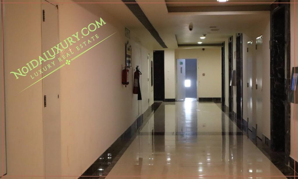 3 BHK APARTMENT FOR RENT IN NOVA RESIDENCE SECTOR 94 NOIDA in Noida - Image 5