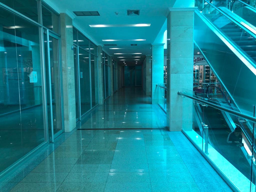 Local empresarial moderno y equipado en Lechería en Lecherías - Imagen 6