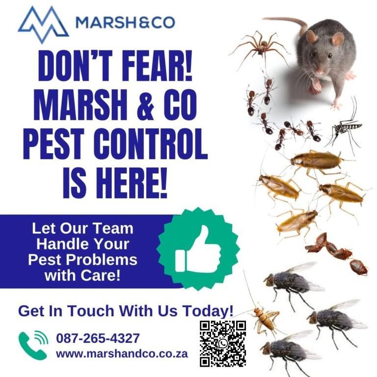 Pest Control Services in Johannesburg - Image 1