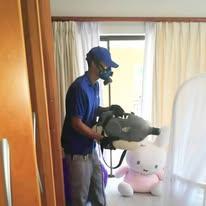 Pest Control Services in Johannesburg - Image 5