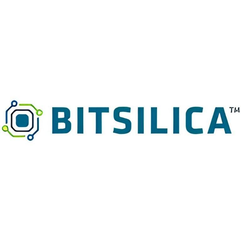 BITSILICA Revolutionizing Semiconductor Design Services Worldwi in India - Image 1