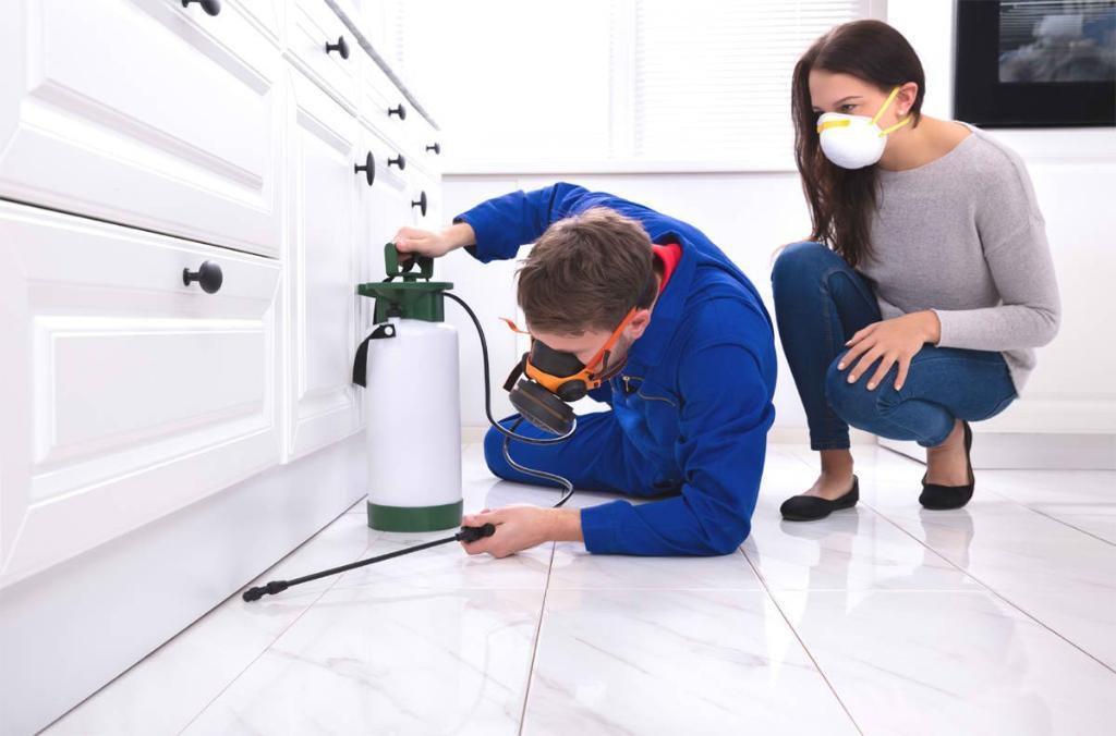 PEST CONTROL SERVICES in India - Image 2