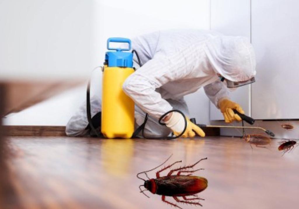 PEST CONTROL SERVICES in India - Image 3
