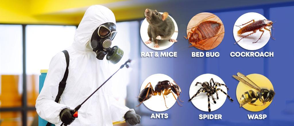 PEST CONTROL SERVICES in India - Image 5