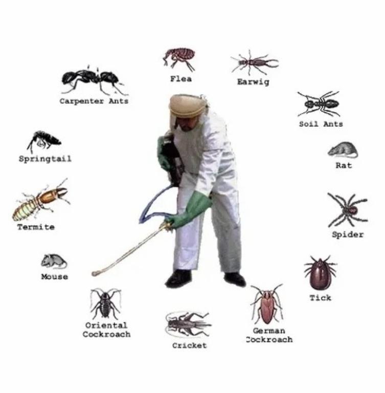 PEST CONTROL SERVICES in India - Image 6