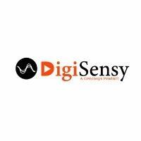 Best SEO Company In Lucknow- Digisensy in India - Image 2