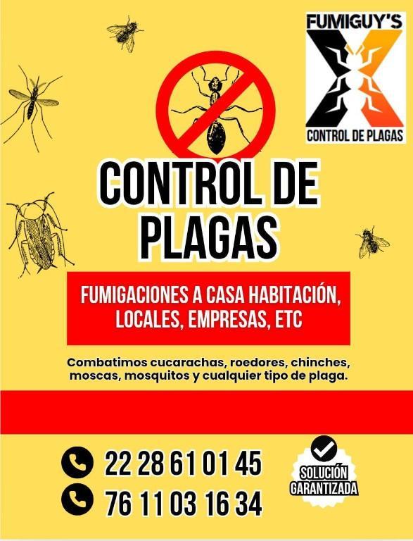 Servicio de Control de Plagas en Tlaxcalancingo - Imagen 1