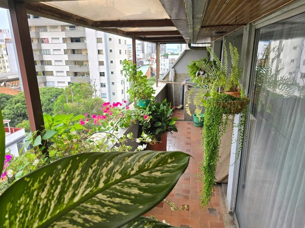 VENTA APARTAMENTO PRADO. EDIFICIO EL PRADO en Piedecuesta - Imagen 3