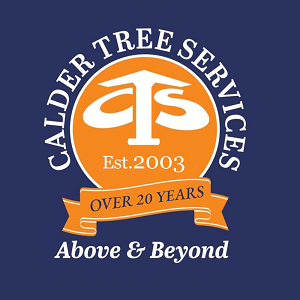 Calder Tree Services Limited in United Kingdom - Image 1
