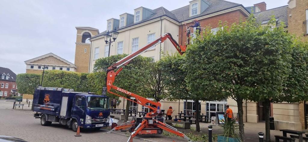 Calder Tree Services Limited in United Kingdom - Image 2