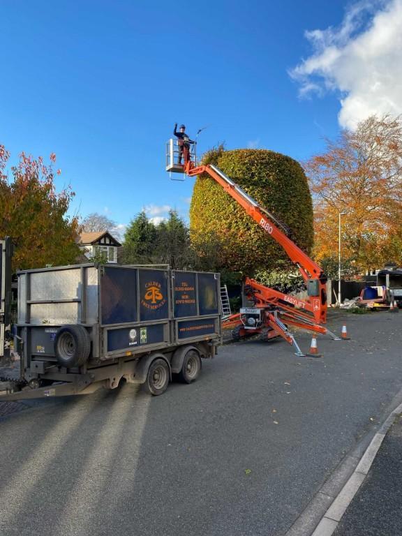 Calder Tree Services Limited in United Kingdom - Image 5