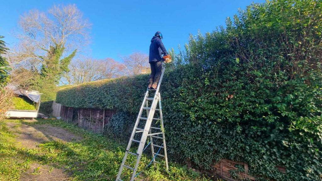 Calder Tree Services Limited in United Kingdom - Image 6