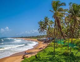 Tourism industry brings the best-in-class Holiday Package goa in Sarkhej - Image 2