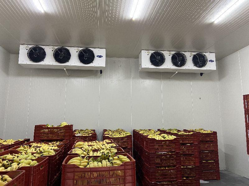 Eco-Friendly Ripening Chambers with Low Power Consumption in India - Image 1