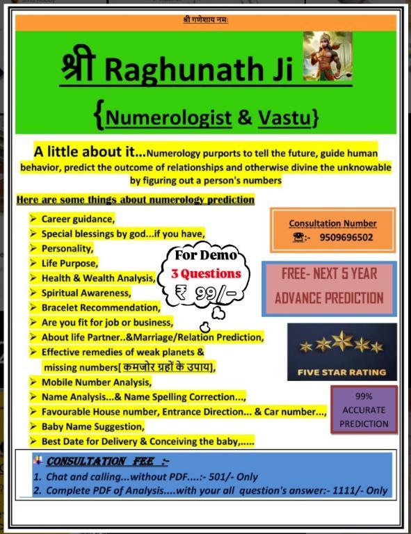Shree Raghunaath Ji Numerologist in India - Image 1