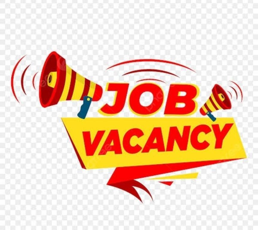 LOOKING FOR VLOGGER, EDITOR, CONTENT CREATER in Thirumangalam - Image 1