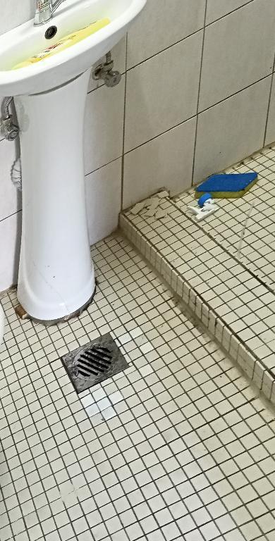 SUPERB HOME CLEANING FOR YOU in Ultimo - Image 3