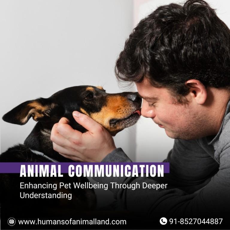 Animal Communicator in Gautam Budh Nagar - Image 1