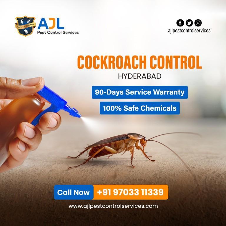 Cockroach Pest Control Hyderabad in Hyderabad - Image 1