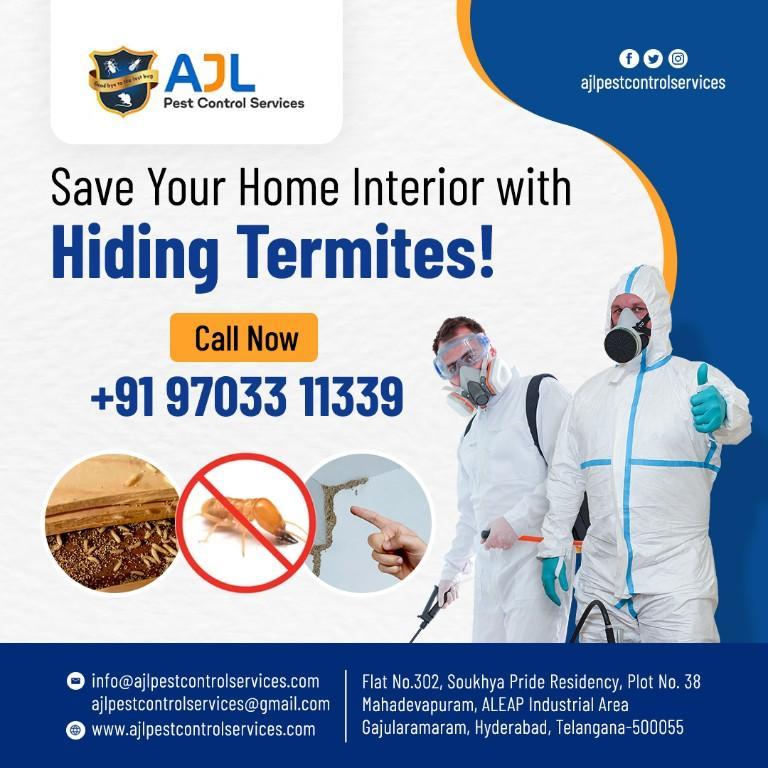 Termite Control Services in Hyderabad - Image 1