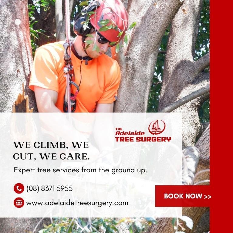 Adelaide’s Trusted Experts for Tree Removal in Reynella - Image 1