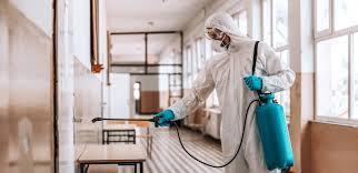 Pest Control Services Lucknow in Hasanganj - Image 1