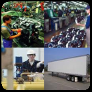 Rent Storage Trailers & Container Units | Express Mobile Storage in Richmond Hill - Image 8